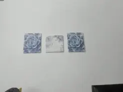 Amateur Best Webcam of Arianawill