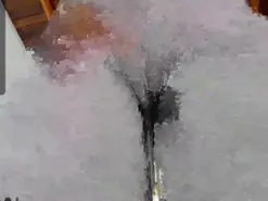 Amateur Adult Webcam of isa_loves_cum