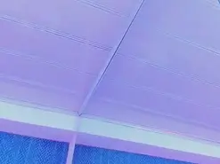 LeaMoreau from amateur