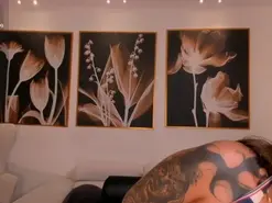 Amateur Adult Webcams of AmbarOwens