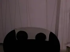 Amateur Sex Chat of AmbarOwens