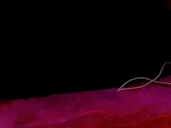 Amateur Free Live Porn of theroompink