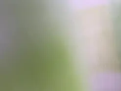 Amateur Best Webcam of Piulas22