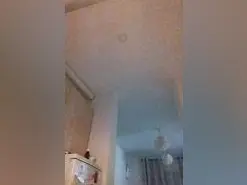 Amateur Free Porn Cam of Morenitoymorena