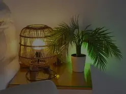 anabelcurvy from amateur