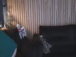 Amateur Nude Webcam of LunaLicks