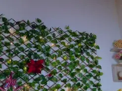 alice_rous21 from amateur