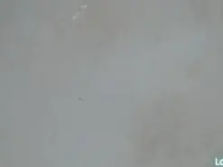 Amateur Private Sex Chat of stefany_wish