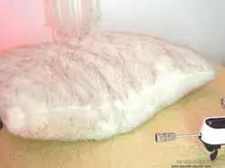 Amateur Adult Webcams of eyleen_24