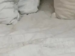 Amateur Best Webcam of SunriseGuys