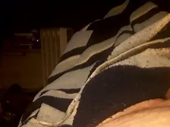 Ciruelo1 from amateur