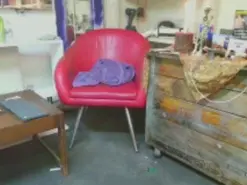 Amateur Free Live Porn of Turkdck