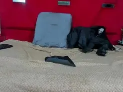 Amateur Free Live Porn of DafneBela