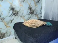 Amateur Best live sex cam show of aisha_brunette1