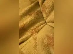 Amateur Best Webcam of Seduccion6969