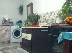 Amateur Best live sex cam show of AnnBigLabia25