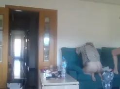 Amateur Best live sex cam show of parejatranquila