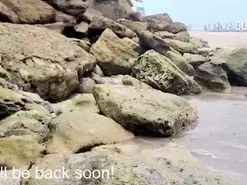 KOMCOMOLKA from amateur