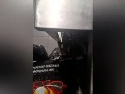 Amateur Adult Webcams of YourPervVice