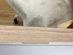 Amateur Sex Cam of rotiaq21