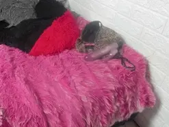 Amateur Best live sex cam show of pamela_velazco