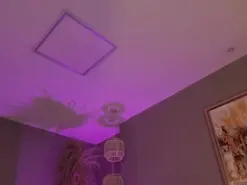 Amateur Live Sex of AliceHarper1