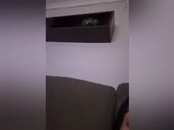 Amateur Free Live Porn of LaInsuperable23