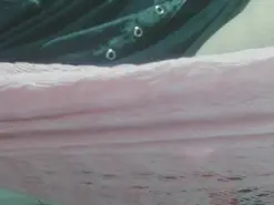 Amateur Free Porn Cam of ___PATRICIA___