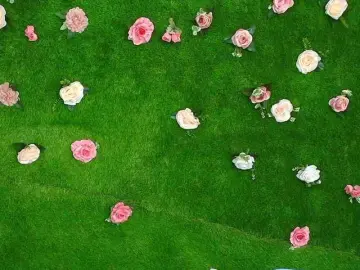 Bongacams Live Porn of HugeTittiess