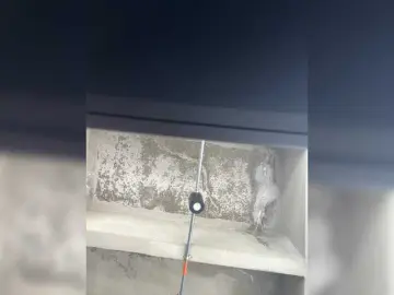 Bongacams Nude Webcam of SallyeLeins