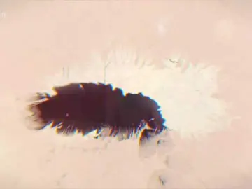 Bongacams Live Sex of Taanni