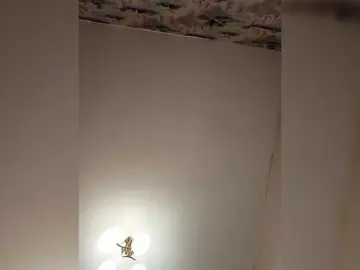 Bongacams Private Sex Chat of Mediumsomnambula