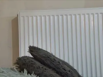 Bongacams Adult Video Chat of curvyana