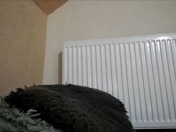 Bongacams Adult Webcams of curvyana