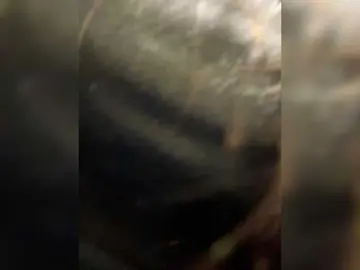 Bongacams Nude Webcam of linahelen