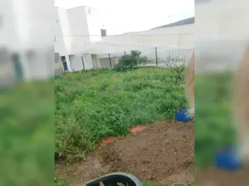 Bongacams Adult Webcam of YourWitcher