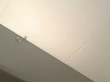 Bongacams Adult Webcams of Adelaideskyy