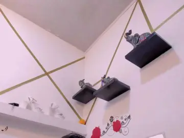 Bongacams Sex Chat of charlotte-111