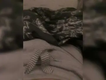 Bongacams Adult Webcams of Devochka1010