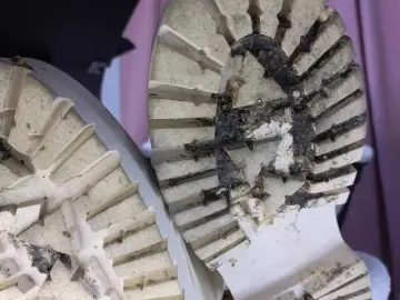 Bongacams Adult Webcam of fairyxblair