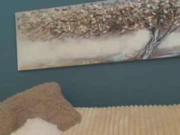 Bongacams Free Live Porn of RubbyFlame