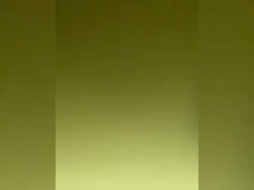 TheDime from bongacams