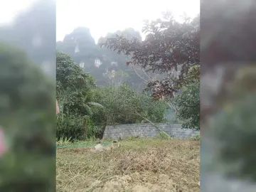 Bongacams Adult Video Chat of Babynhi90