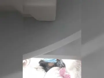 Bongacams Free Porn Cam of Selinababy99