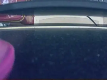 Bongacams Best Webcam of shammy1888