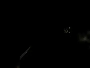 Bongacams Nude Webcam of candicelovee