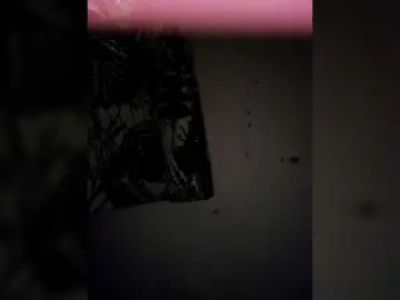 Bongacams Sex Cam of candicelovee