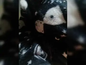 Bongacams Live Porn of Duramapola