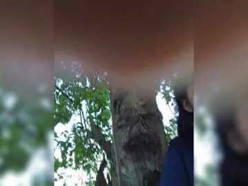 Bongacams Free Live Porn of ROOMEXOTIC11