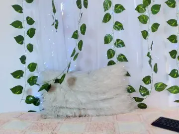 Bongacams Free Porn Cam of lucia-sweeet